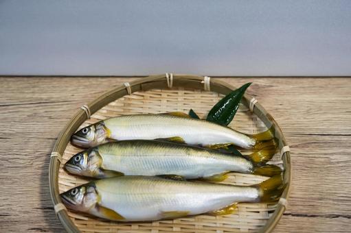 新鮮な脂ののった鮎の写真