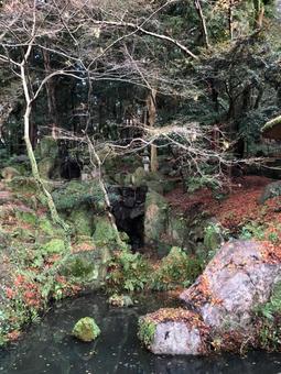 池　太宰府天満宮 落ち葉,秋,自然の写真素材