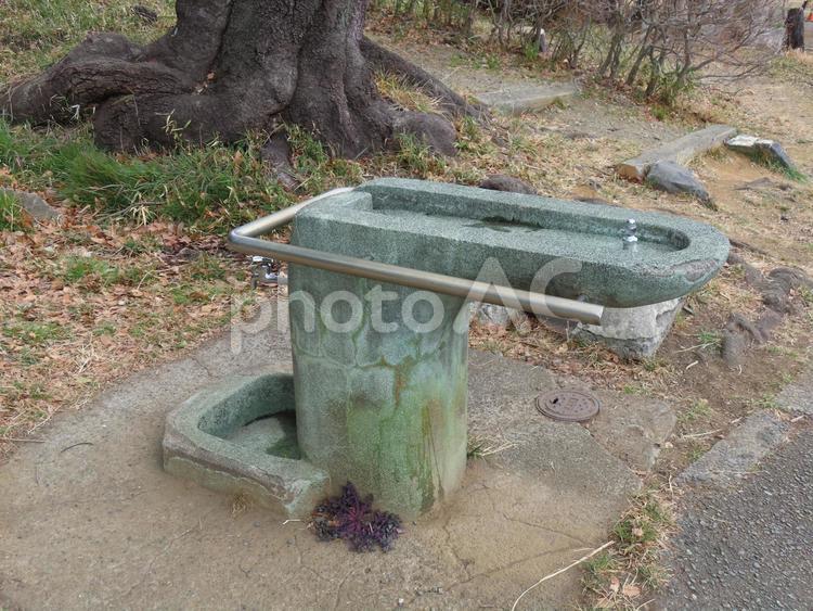 三ツ池公園　水飲み場 三ツ池公園,三ッ池公園,三池公園の写真素材