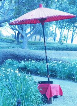 赤い和傘の休憩所 赤い和傘の休憩所の写真