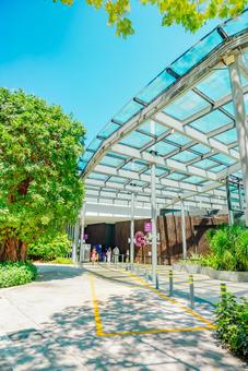 【シンガポール】ガーデンズバイザベイの写真