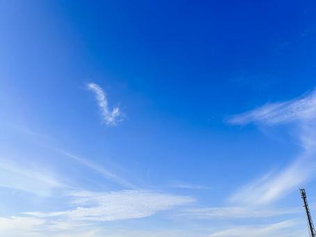 【空の写真】秋空 【空の写真】秋空 秋空,空,雲の写真素材