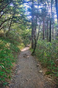 大台ヶ原の風景 大蛇嵓,断崖絶壁,正木ヶ原の写真素材
