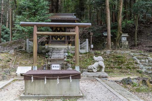 滋賀　近江神宮　栖松遥拝殿 近江神宮,神社,滋賀県の写真素材