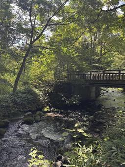 長野県軽井沢町 湯川-5 長野県軽井沢町 湯川-5 長野県,長野,信州の写真素材