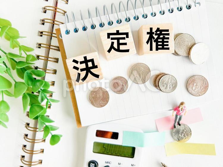 お金と女性と決定権 決定権,決定,お金の写真素材