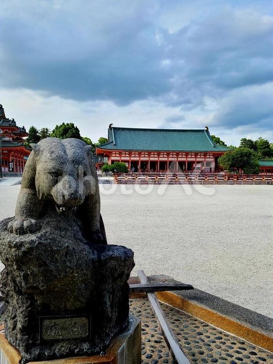 平安神宮　白虎 平安神宮,白虎,石像の写真素材