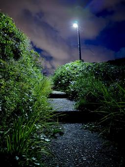 夜の階段 夜の階段の写真