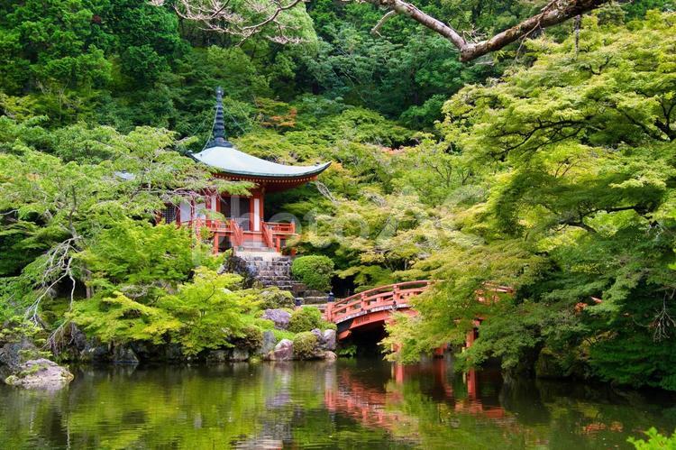 醍醐寺の弁天堂と弁天池　　京都　 弁天堂,醍醐寺,寺の写真素材