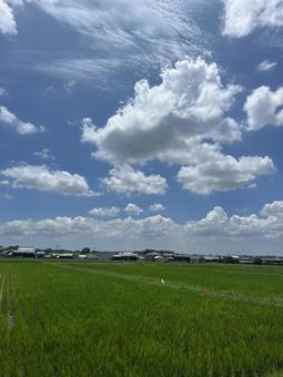 Photo, sky, healing, beautiful, 