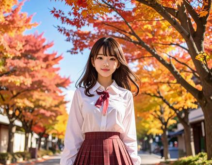 紅葉の街を散歩 紅葉の街を散歩の写真