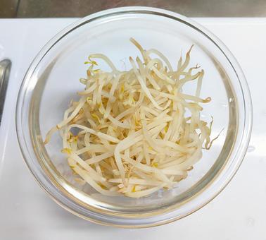 もやし もやし もやし,野菜,ボウルの写真素材