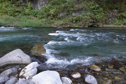 多摩川 多摩川の写真
