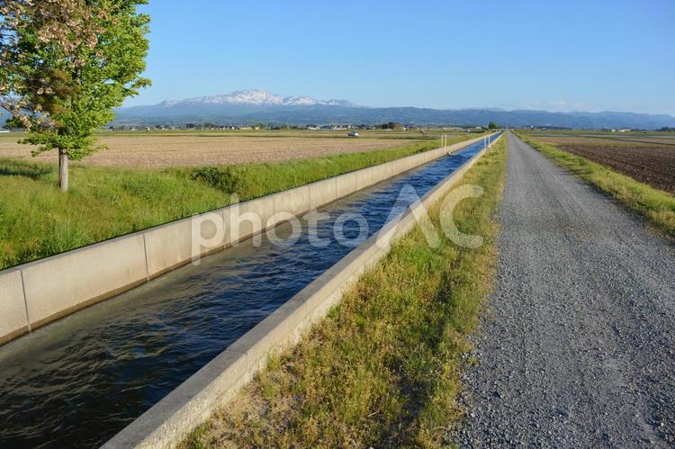 農道と農業用水路 田園風景 農道,農業用道路,農業用の道路の写真素材