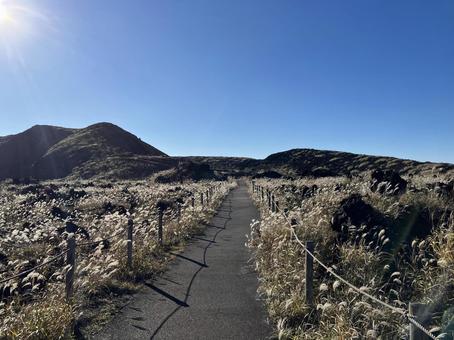 大島三原山山頂のススキ風景 大島,三原山,山頂の写真素材