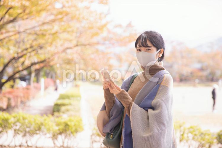 秋の公園でマスクをつけてスマホを使う女性 マスク,スマホ,スマートフォンの写真素材