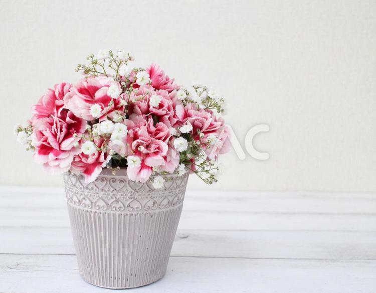 カーネーションとカスミソウのアレンジメント１ 母の日,プレゼント,カーネーションの写真素材