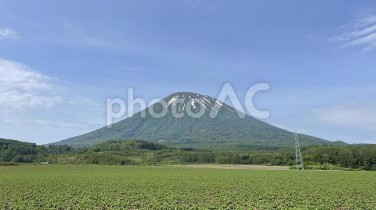 北海道の「羊蹄山」 北海道,羊蹄山,山の写真素材