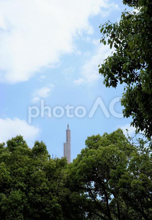 高木の上に突き出た東京宝塚劇場の塔 塔,塔のある風景,東京の写真素材
