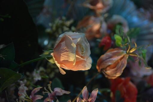 暗闇に咲く花 蕾,黒背景,エモいの写真素材