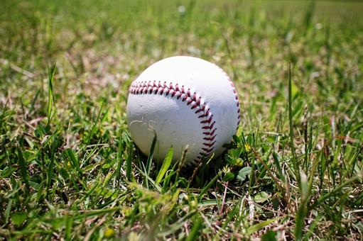 白球のイメージ素材 白球のイメージ素材 ボール,野球ボール,硬式の写真素材