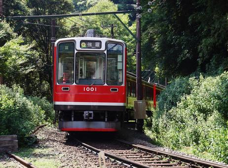 箱根登山鉄道1000形電車 箱根登山鉄道1000形電車 箱根,箱根登山鉄道,箱根登山電車の写真素材