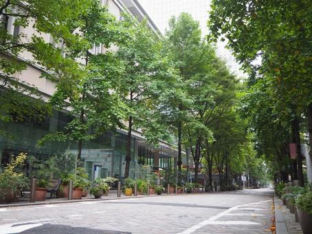 丸の内の街並み(東京都・千代田区) 丸の内の街並み(東京都・千代田区) 丸の内,東京駅周辺,街並みの写真素材