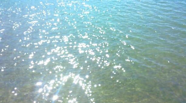 水面 水面の写真