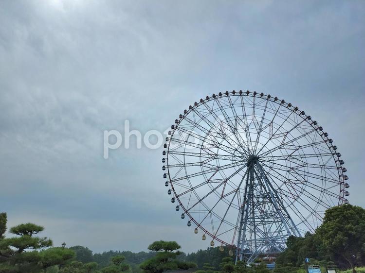 葛西臨海公園の木々と観覧車 観覧車,遊園地,人気の写真素材