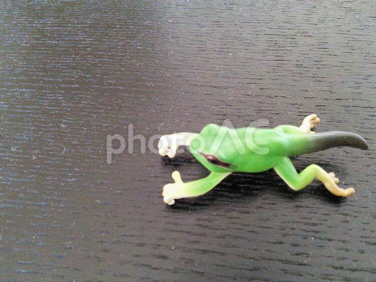 カエルのおもちゃ カエル,おもちゃ,フィギュアの写真素材