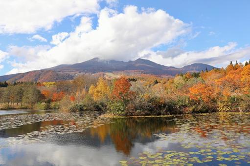 紅葉　妙高高原　いもり池 秋,自然,湖の写真素材