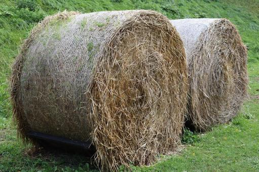 牧草ロール 風景,麦わら,麦稈の写真素材