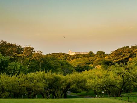 夕暮れの公園 夕暮れの公園の写真