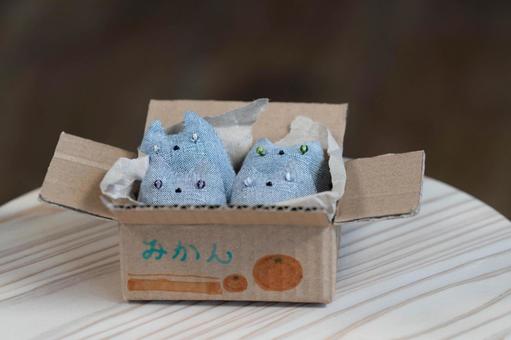 ダンボールハウスに集うちび猫たち② ダンボールハウスに集うちび猫たち②の写真
