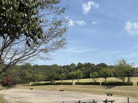 青空に映える公園の広場 公園,広場,青空の写真素材