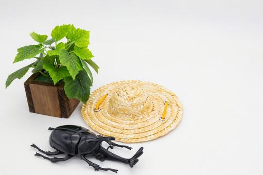 夏　カブトムシの人形と麦わら帽子 カブトムシ,昆虫,人形の写真素材