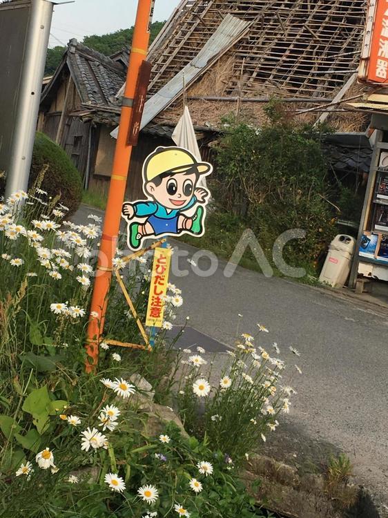 飛び出し坊や　交通標識　安全標識 飛び出し坊や,交通標識,安全標識の写真素材