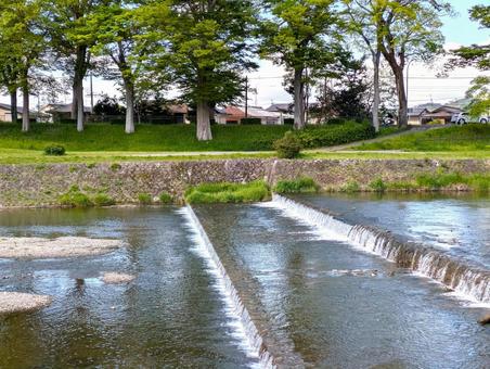 京都鴨川の段差堰と新緑に囲まれた河畔風景 京都鴨川の段差堰と新緑に囲まれた河畔風景の写真