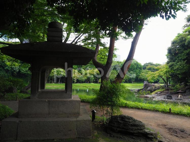 小石川後楽園―異形灯篭 小石川後楽園,異形灯篭,灯篭の写真素材