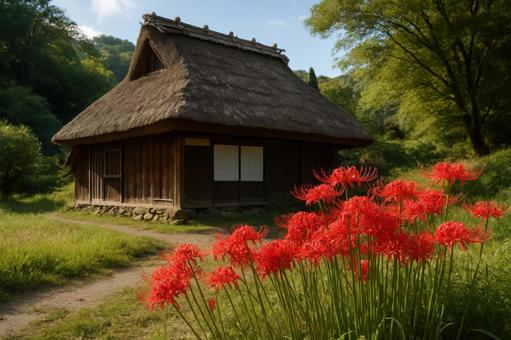 茅葺き屋根と彼岸花の日本風景 茅葺き屋根と彼岸花の日本風景の写真