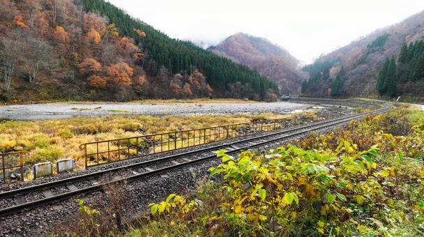 高山線 線路 高山線 線路の写真
