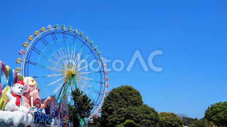 国営ひたち海浜公園の観覧車（茨城県） 春,観覧車,国営ひたち海浜公園の写真素材