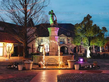 ドイツの森 屋外,イルミネーション,冬の写真素材