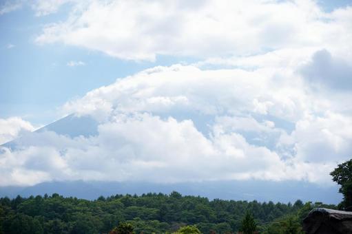 夏空に浮かぶ富士山 夏空に浮かぶ富士山の写真