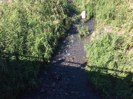 小川にかかる橋の影 小川にかかる橋の影 川,せせらぎ,橋の影の写真素材