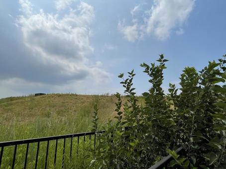 夏草の向こうに広がる空 夏草の向こうに広がる空 空,雲,堤防の写真素材