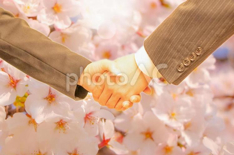 桜背景と握手する会社員 握手,桜,スーツの写真素材