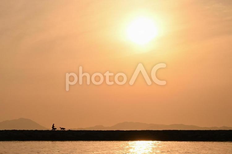夕暮れ時のお散歩 夕日,海,夕暮れの写真素材