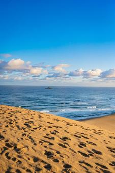 鳥取県　鳥取砂丘の風景 鳥取砂丘,日本の風景,自然の写真素材