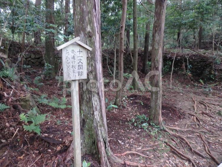和歌山県　熊野古道 風景,景色,道路の写真素材